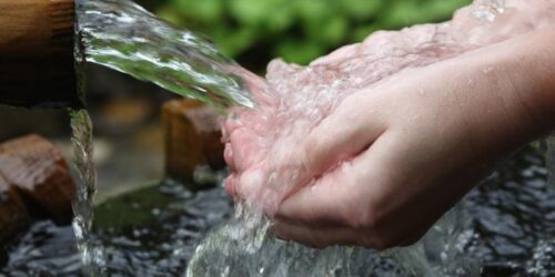 bakterie oczyszczające wodę