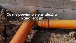 Co nie powinno się znaleźć