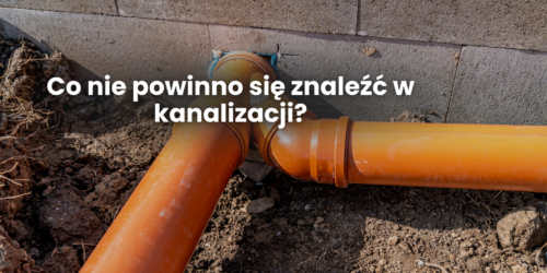 Co nie powinno się znaleźć