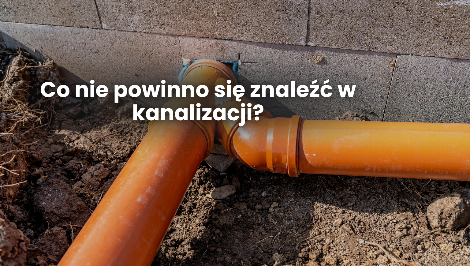 Co nie powinno się znaleźć