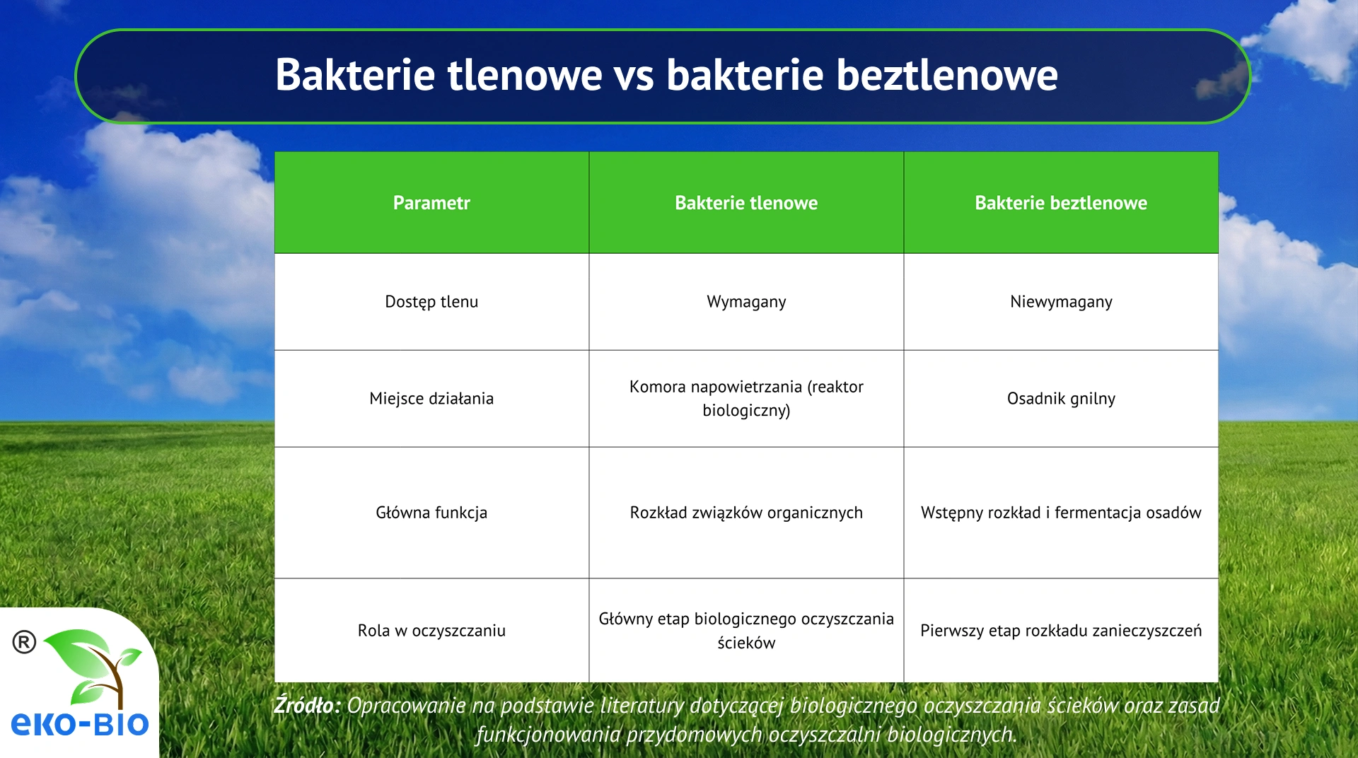 Bakterie tlenowe vs bakterie beztlenowe