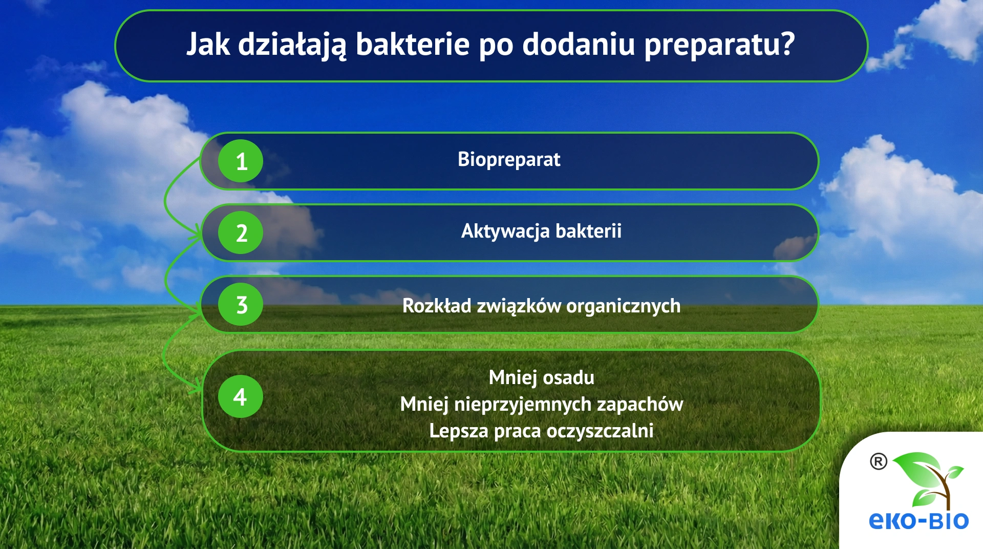 Jak działają bakterie po dodaniu preparatu?