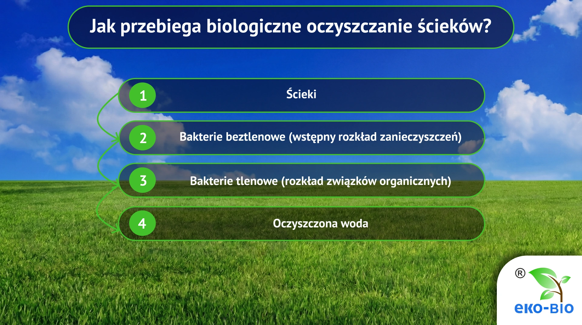 Jak przebiega biologiczne oczyszczanie ścieków?