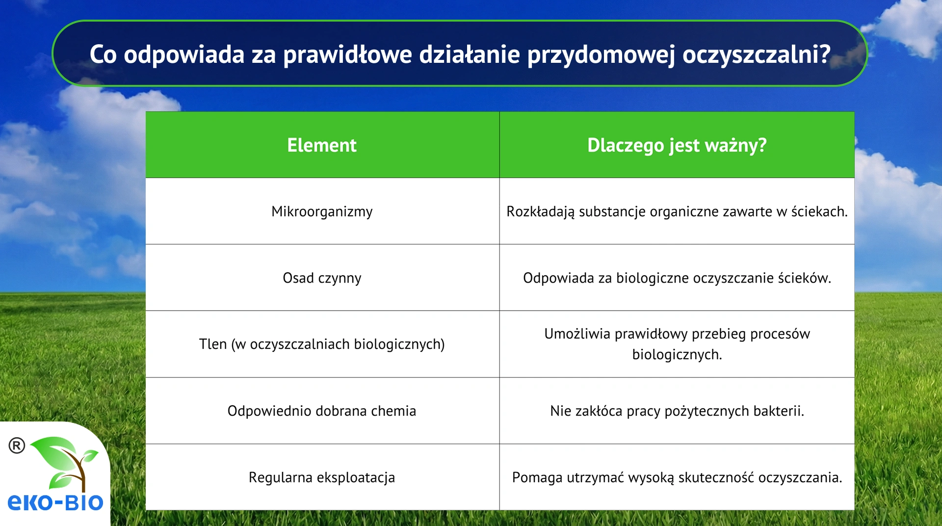 Co odpowiada za prawidłowe działanie przydomowej oczyszczalni?