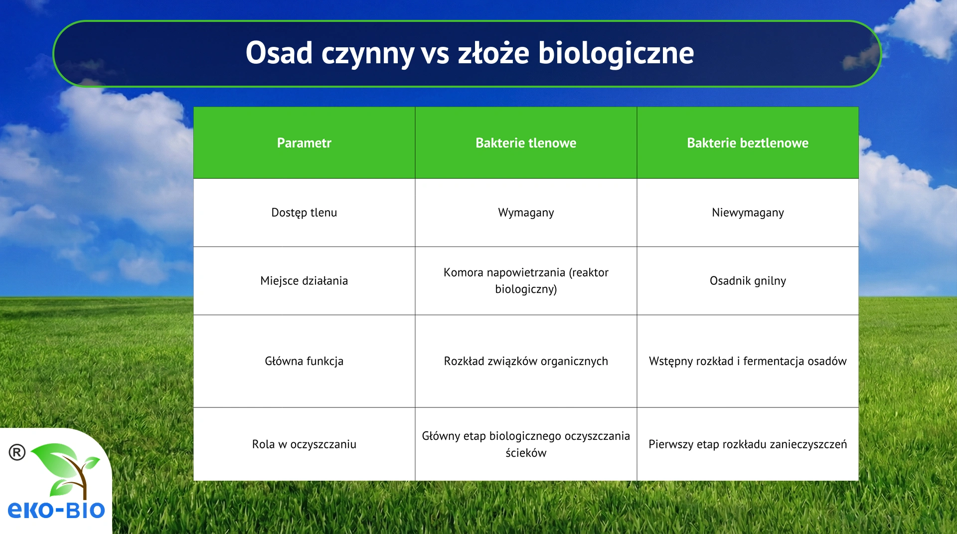 Osad czynny a złoże biologiczne